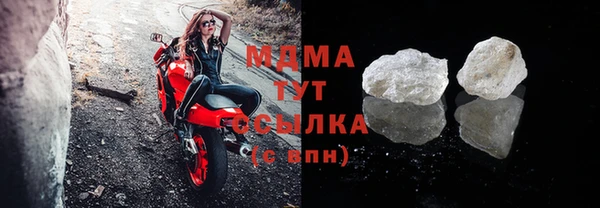 стаф Аркадак