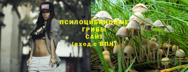 прущий лед Арсеньев