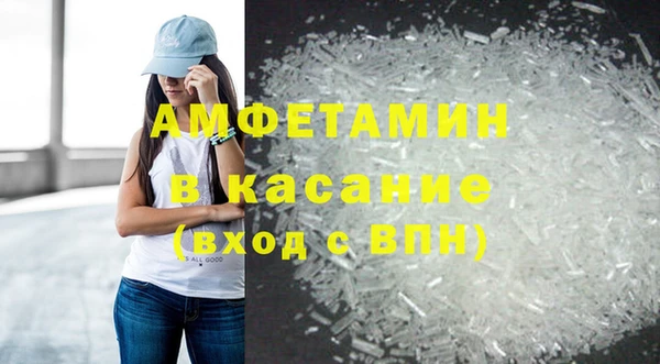 стаф Аркадак