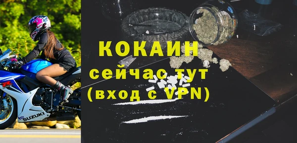 стаф Аркадак