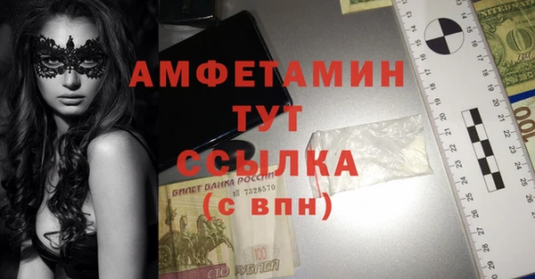 стаф Аркадак