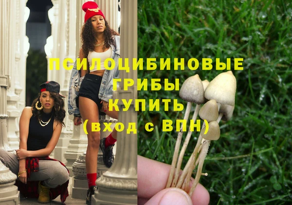 стаф Аркадак