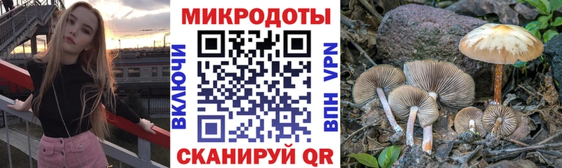 blacksprut сайт  Николаевск-на-Амуре  Псилоцибиновые грибы GOLDEN TEACHER 
